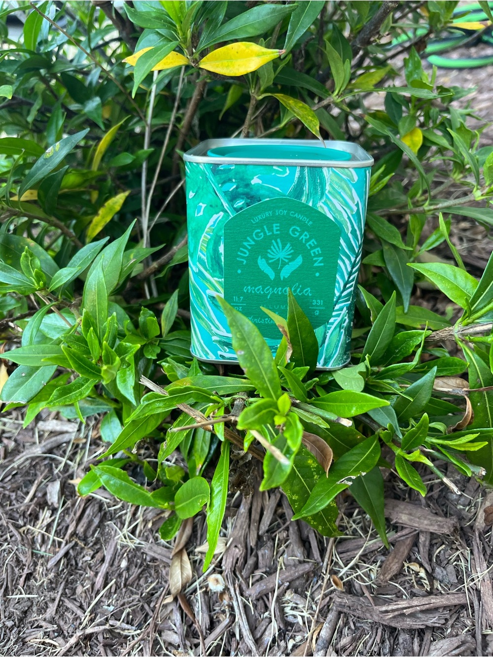 Magnolia Jungle Green Scented Soy Candle - Teal Tin